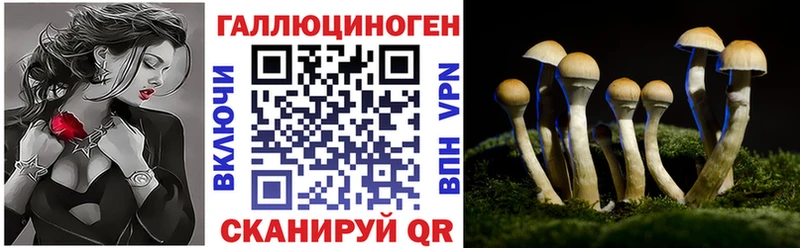 Галлюциногенные грибы GOLDEN TEACHER Вышний Волочёк